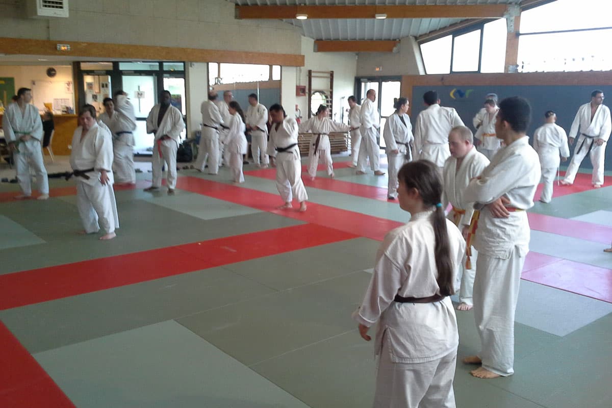Stage fin de saison "Handijudo" 2016
